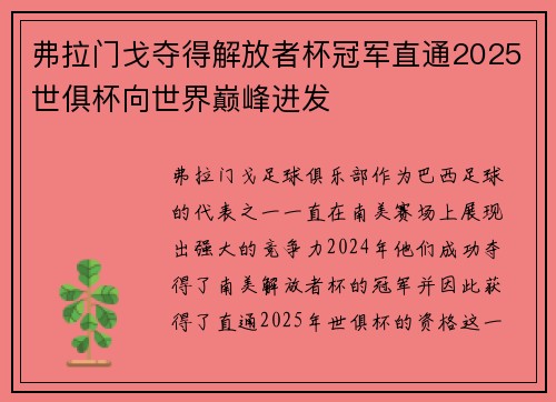 弗拉门戈夺得解放者杯冠军直通2025世俱杯向世界巅峰进发