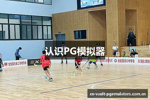 认识PG模拟器